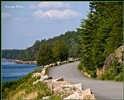 The Somes Sound Road